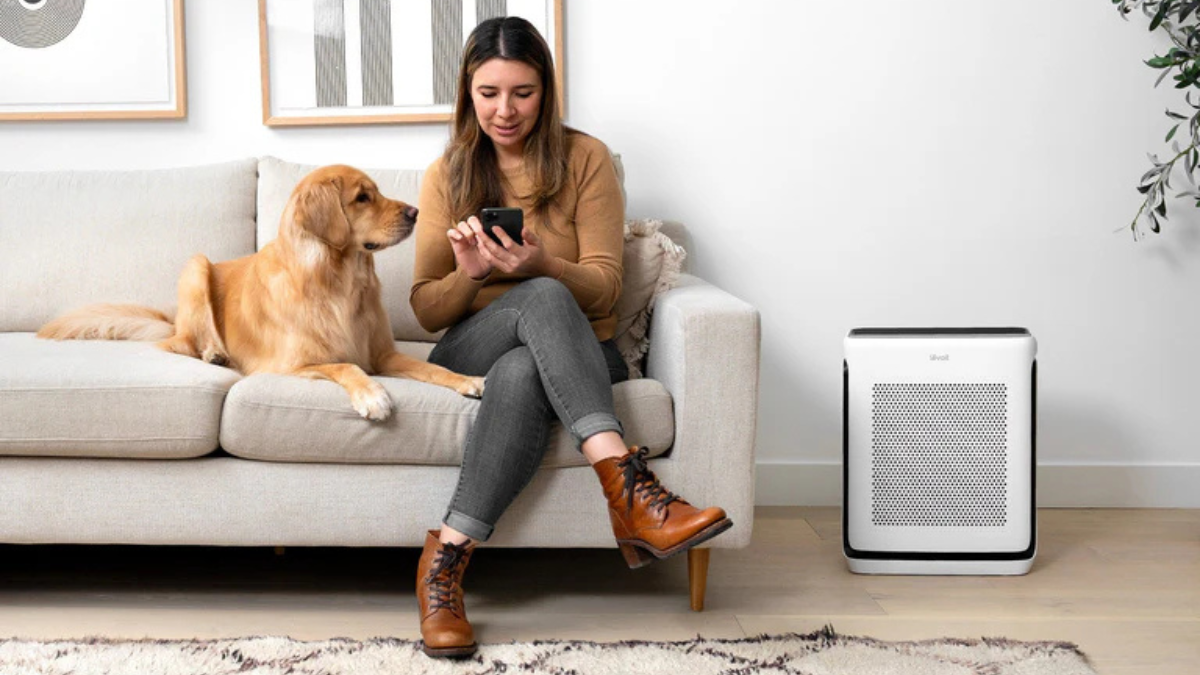 Air Purifiers vs HVAC Filters